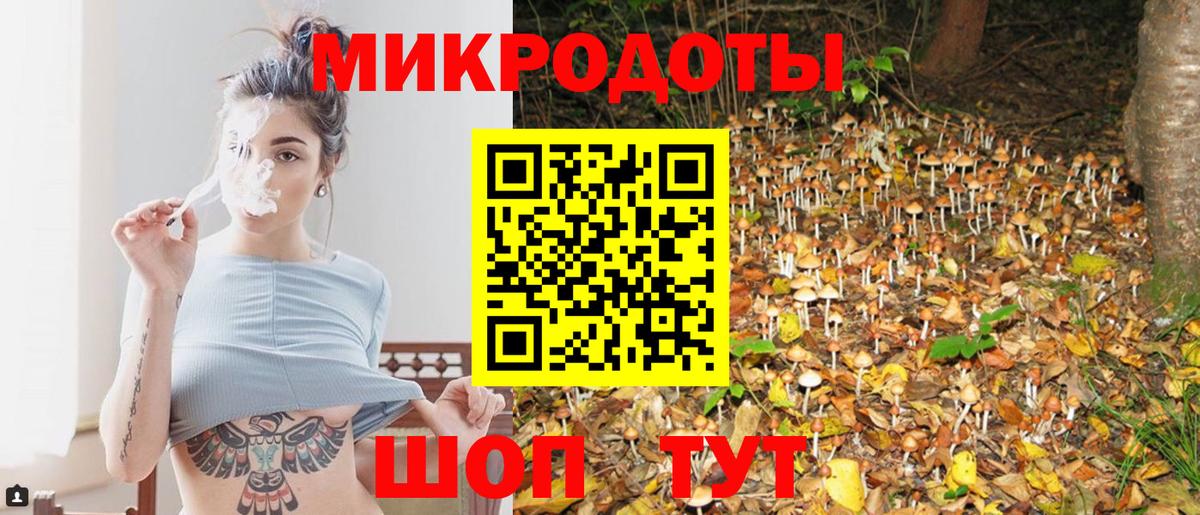 Обь  Галлюциногенные грибы прущие грибы  Вход с VPN  Галлюциногенные грибы Cubensis 